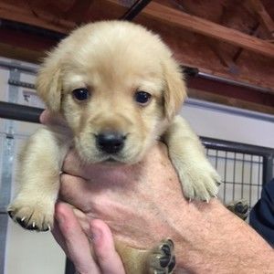 Meet your Posher, Kristin